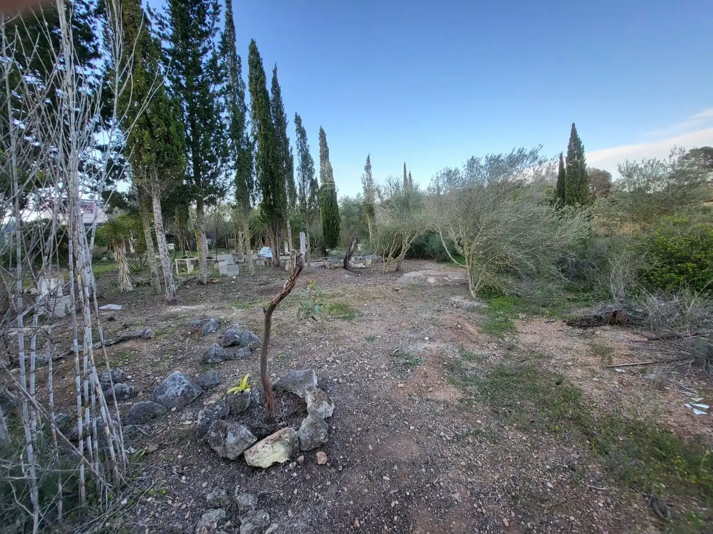 Terreno en venta en Llevant