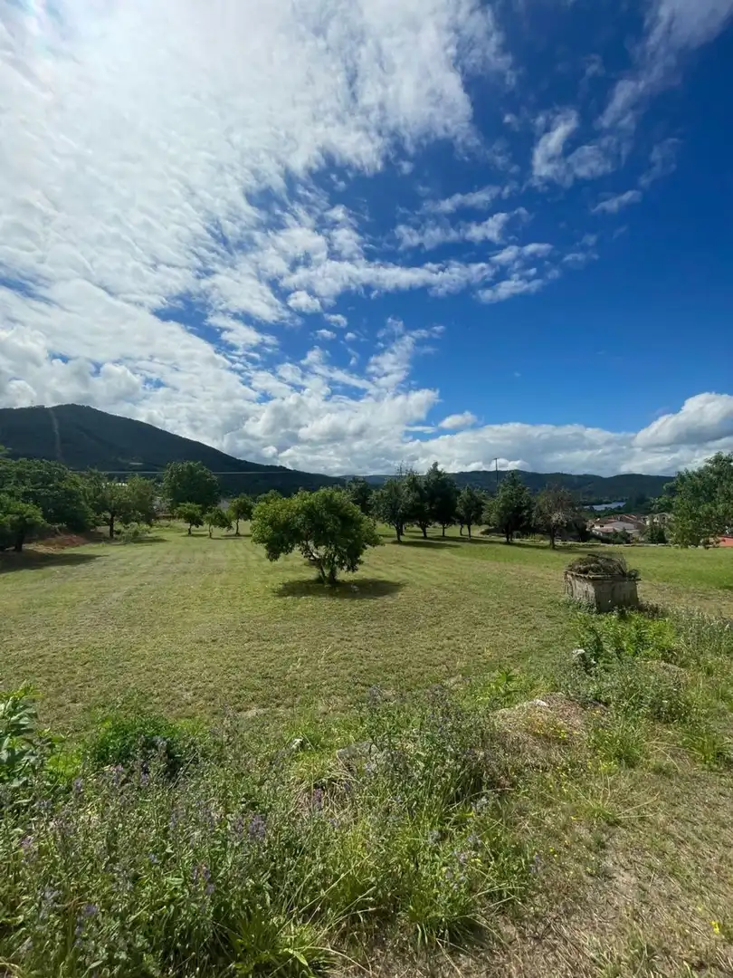 Land for sale in Ribadavia