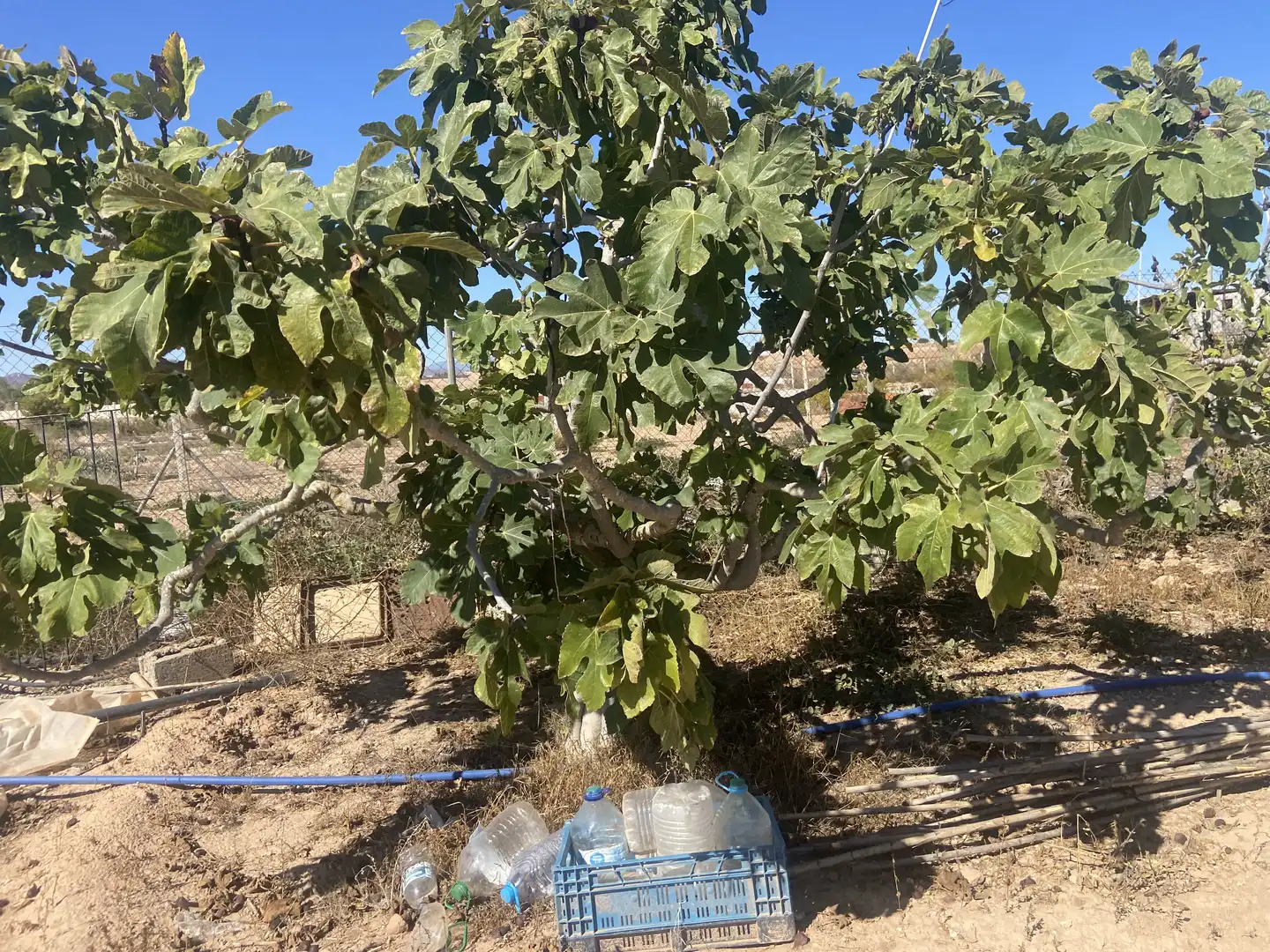 Garden of Land for sale in Cartagena