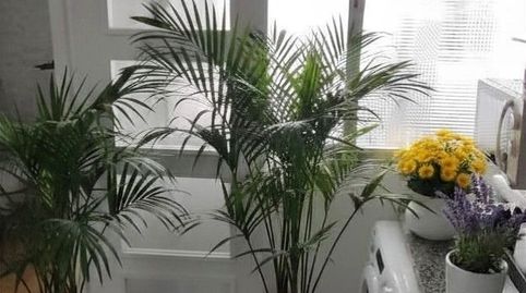 Foto 4 de Piso en venta en Hernández Malillos, Zona Avenida al Vedat, Torrent