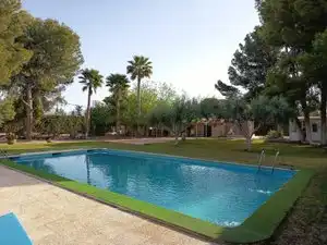 Piscina de Finca rústica en venda en Mutxamel amb Aire condicionat, Jardí privat i Terrassa