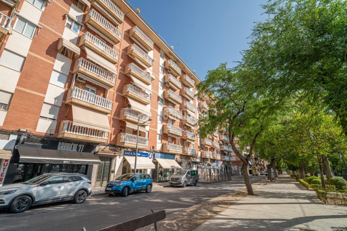 Flat for sale in Linarejos