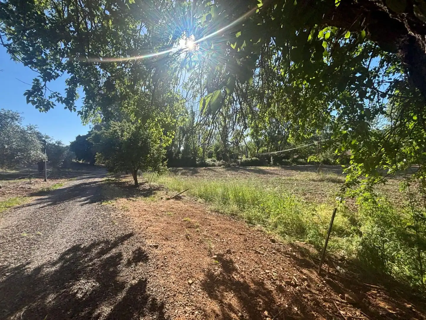 Finca rústica en venda en Ciudad Real