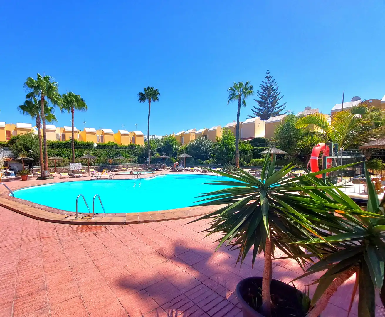 Piscina de Dúplex de alquiler en San Bartolomé de Tirajana con Jardín privado, Terraza y Piscina