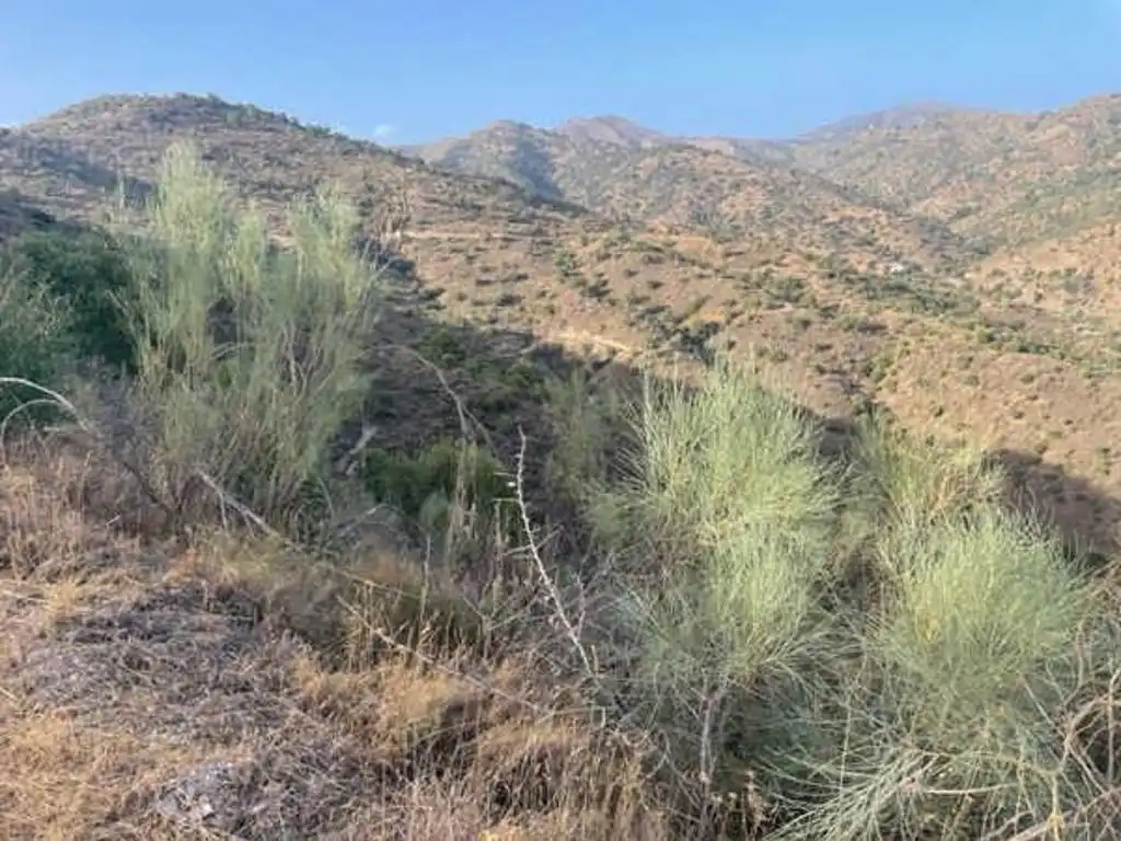 Terreny rústic en venda a Este, imagen 6