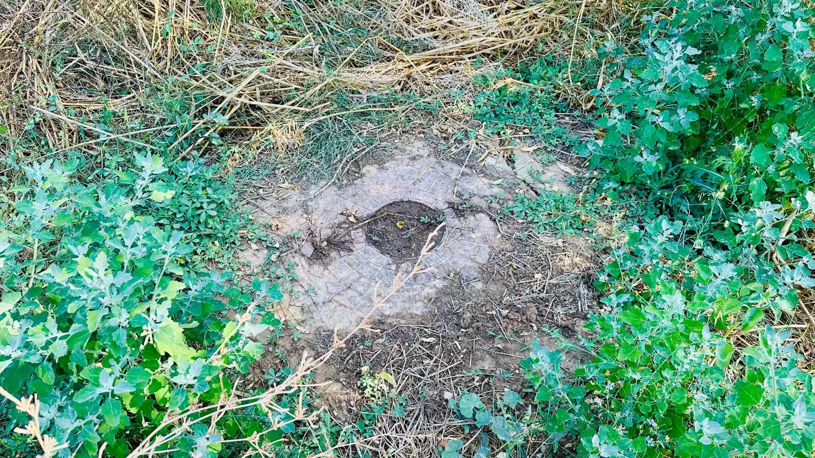 Terreno rustico in vendita a Lledó, imagen 12