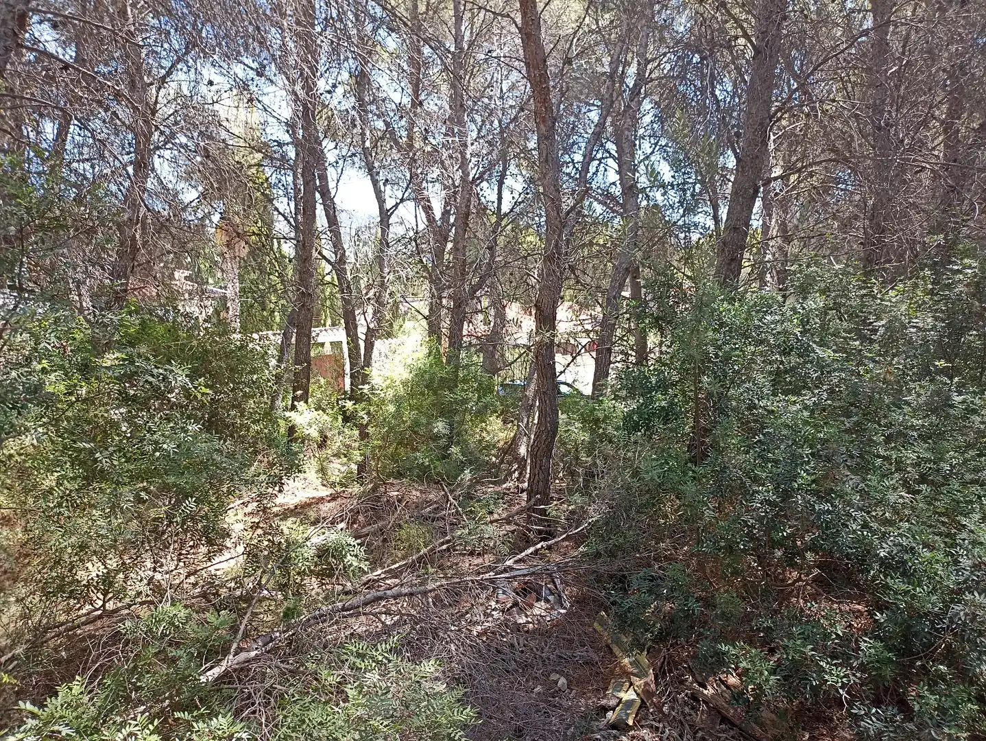 Terreno residencial en venta en Pinar del Advocat - Cometa, imagen 5