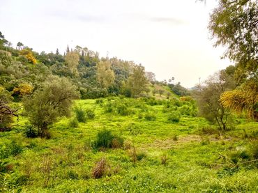 Terreno residenziale in vendita a Benahavís pueblo