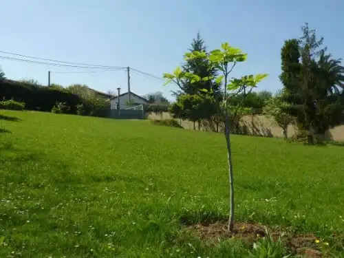 Residential for sale in Gijón 