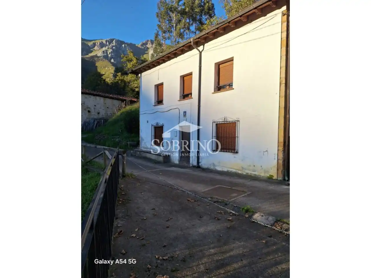 Exterior view of Houses for sale in Peñamellera Alta  with Private garden