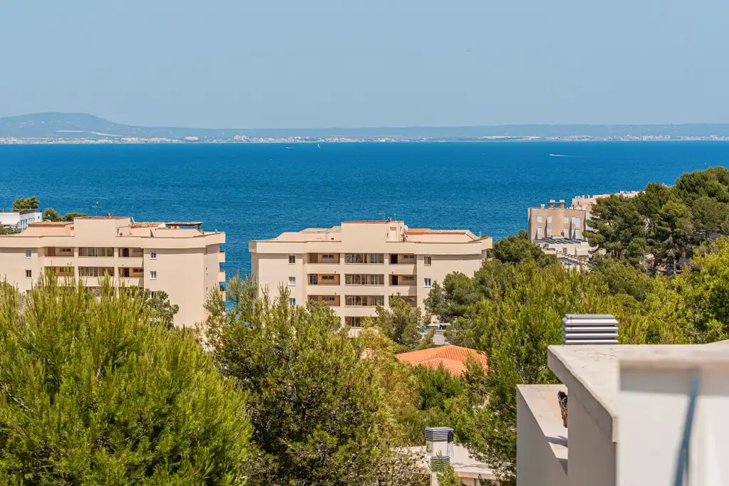 Exterior view of Detached homes for sale in Calvià  with Air Conditioner, Private garden and Terrace