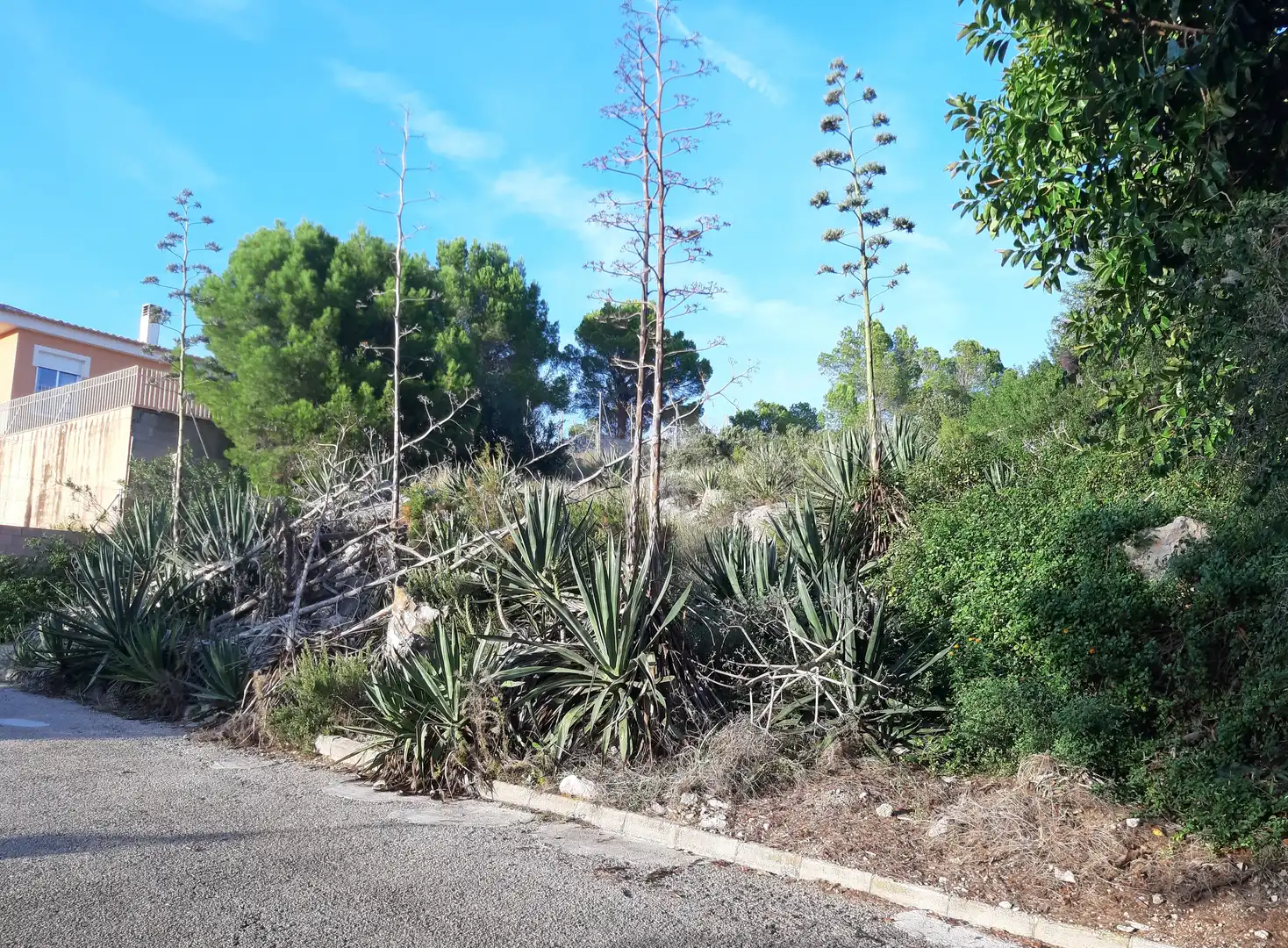 Terreno residencial en venta en Urbanización Santa Marta 38, imagen 3