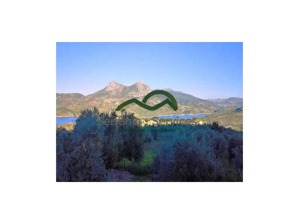 Casa rustica in vendita a Zahara, imagen 4