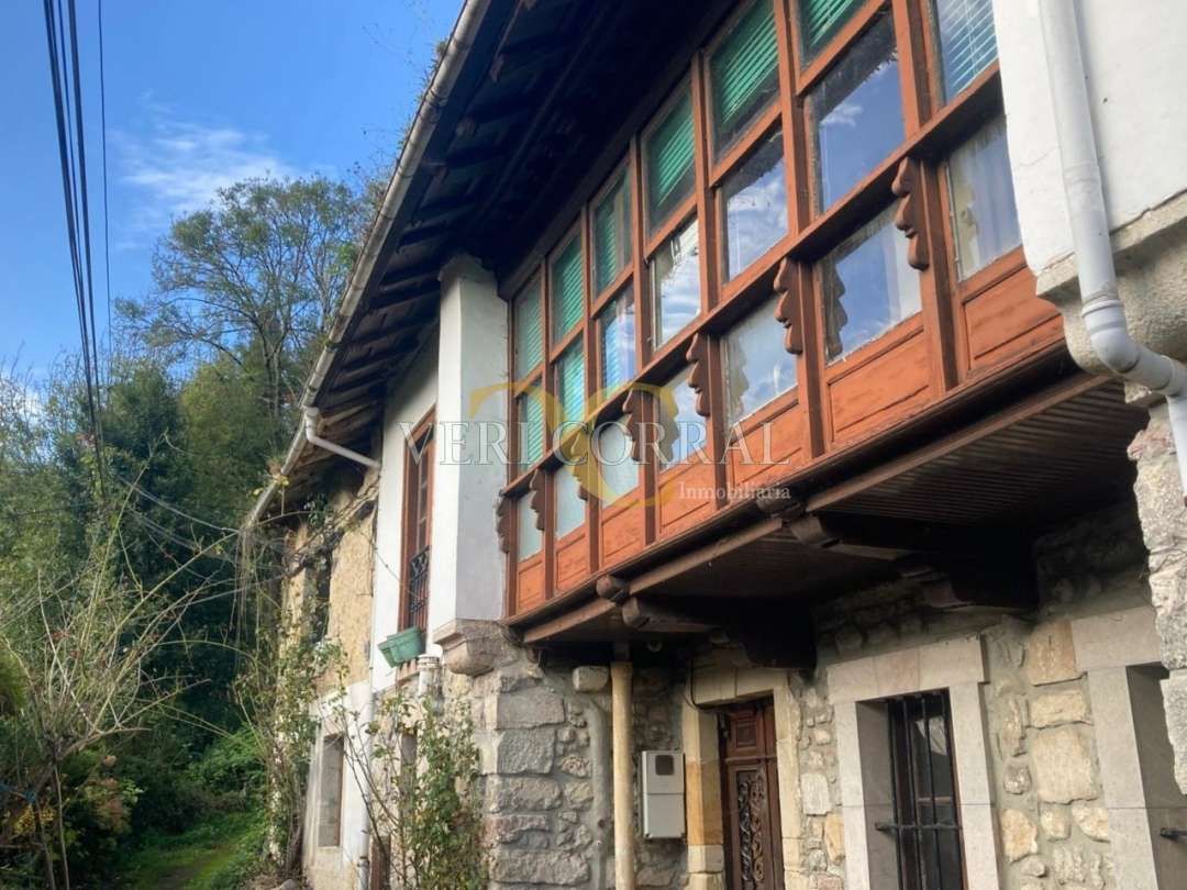 Vista exterior de Casa o xalet en venda en Peñamellera Alta amb Jardí privat