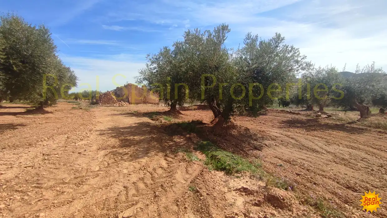 Residential land for sale in Vélez-Rubio, imagen 13