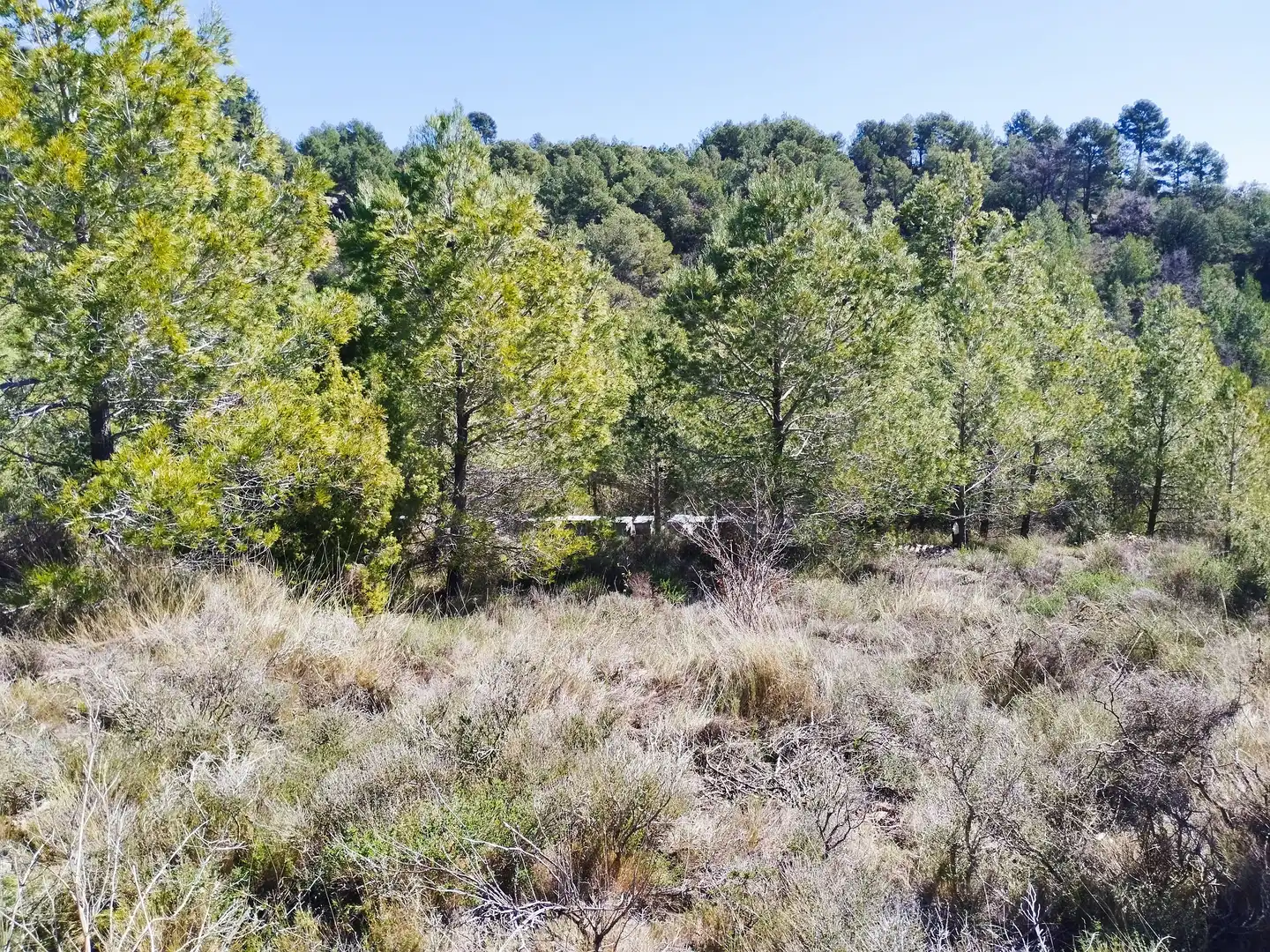Terreno en venta en La Morera de Montsant