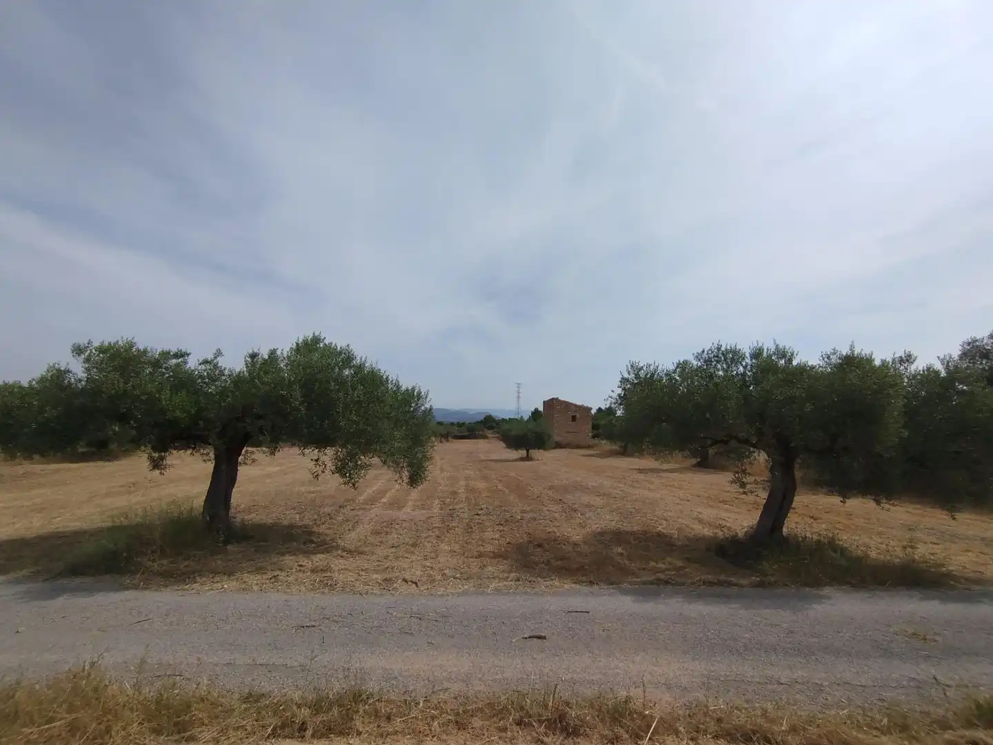 Terreno rústico en venta en Garcia, imagen 45