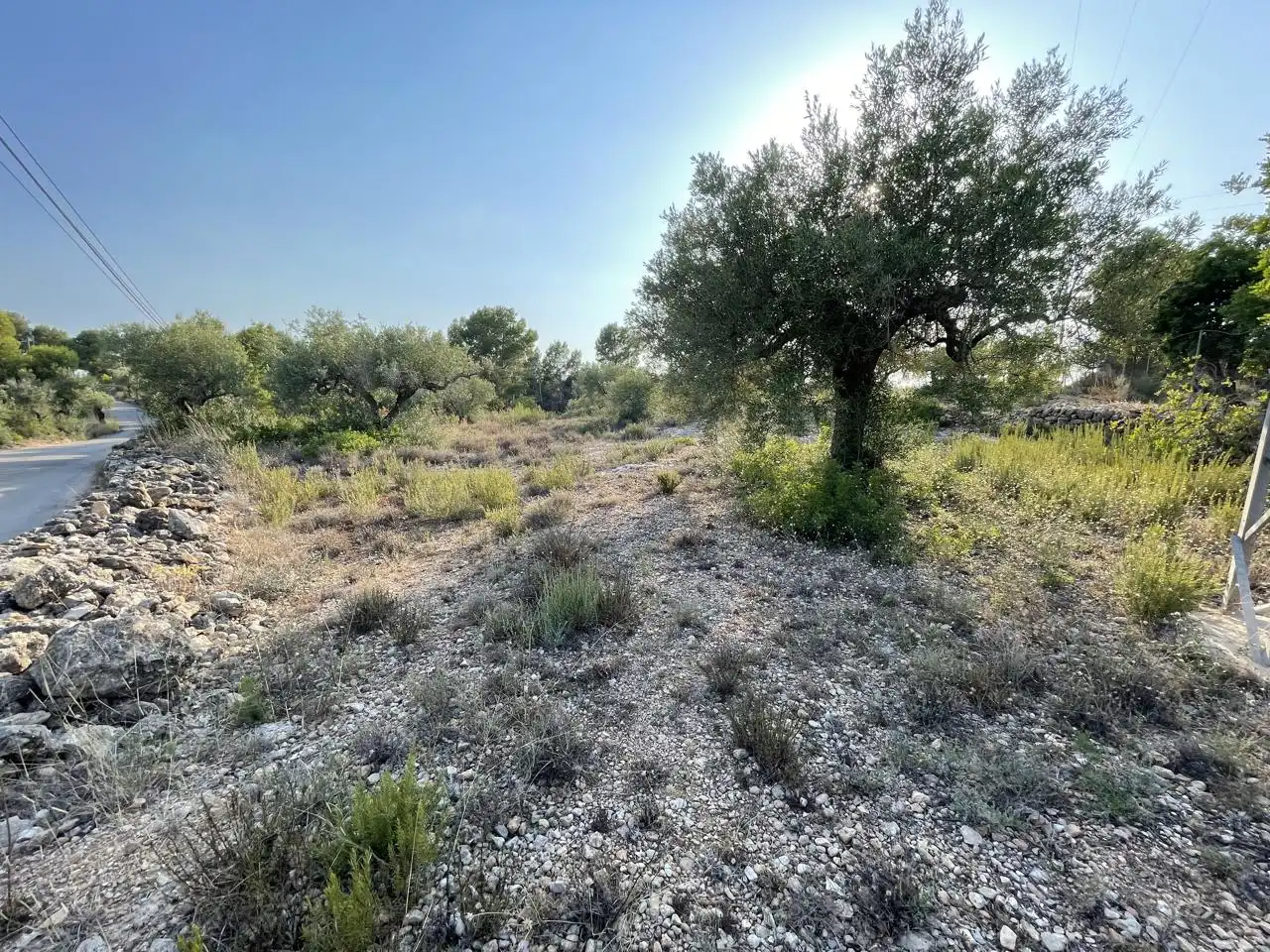 Terreno rustico in vendita a Partida Estany Tort, imagen 18