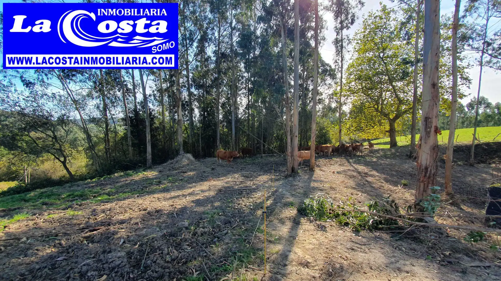 Residential for sale in Ribamontán al Mar