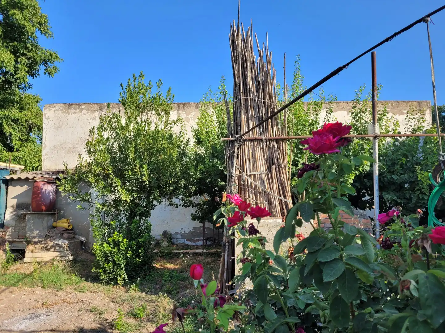 Terrenos y solares en venta en de Codis, imagen 2