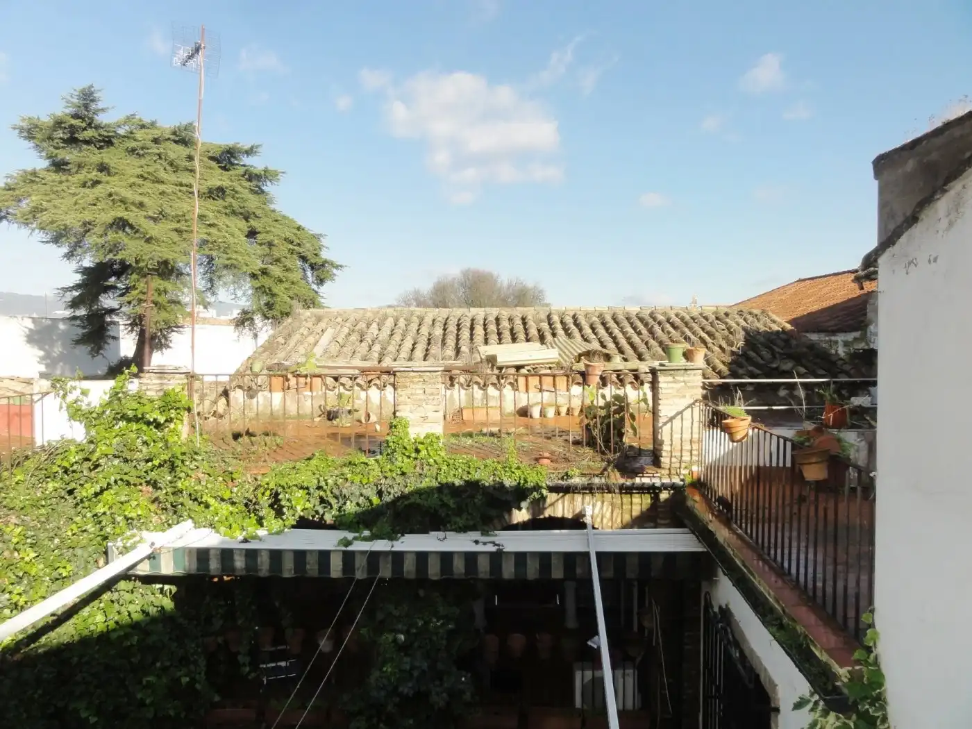 Jardí de Casa o xalet en venda en Córdoba