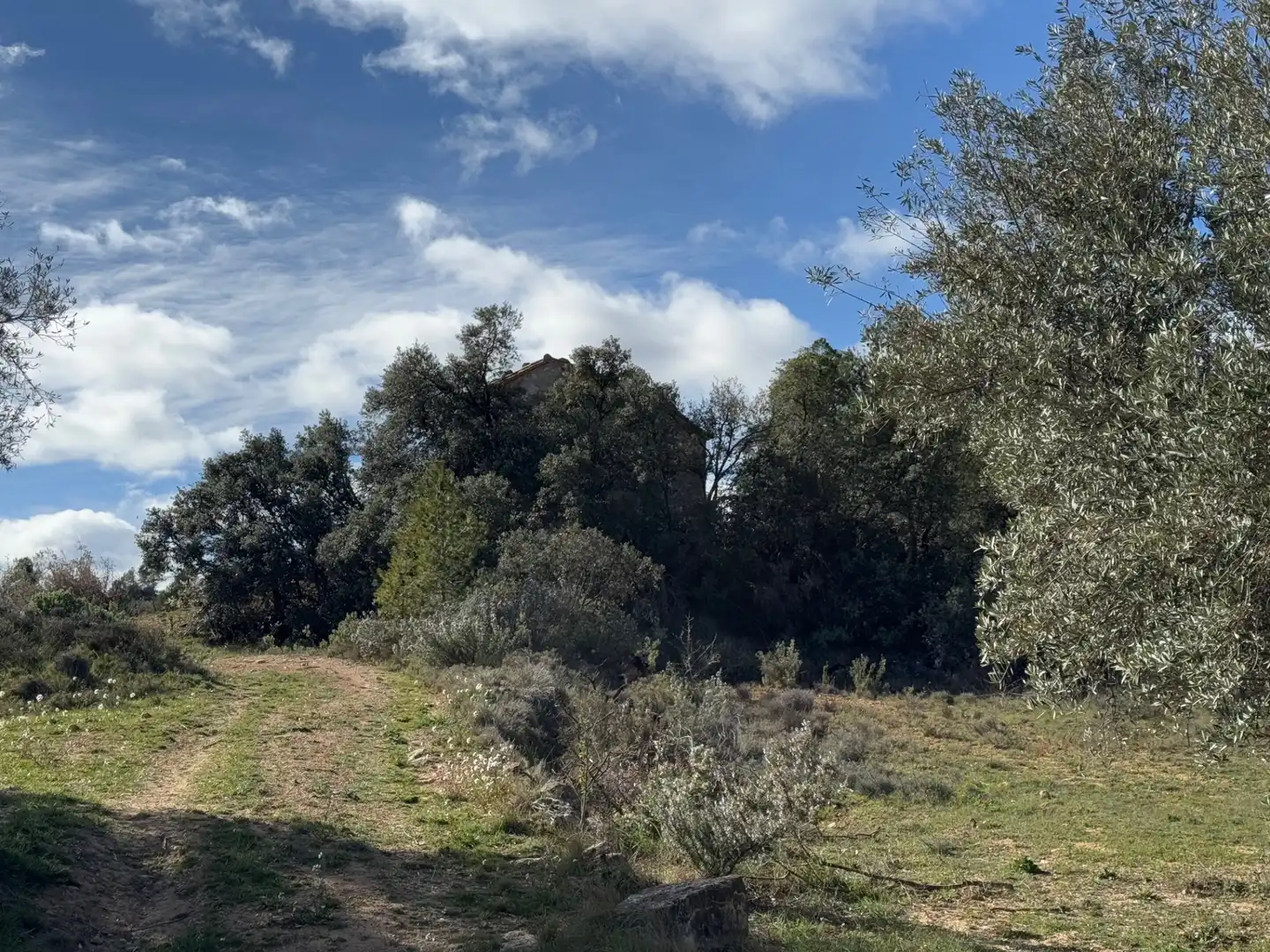 Terreni e lotti in vendita a Valderrobres, imagen 16