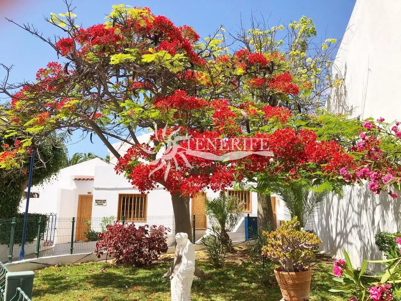 Außenansicht von Wohnung zum Verkauf in Adeje mit Terrasse und Möbliert