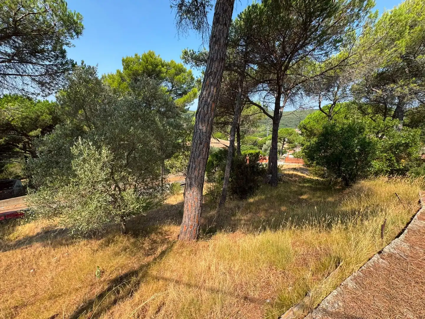 Residential for sale in Tordera