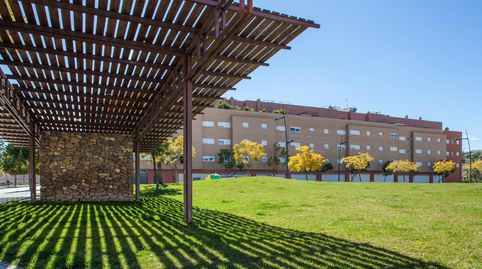 Foto 2 de Piso en venta en Calle Antonio Santos Padilla, El Valle, Lucena