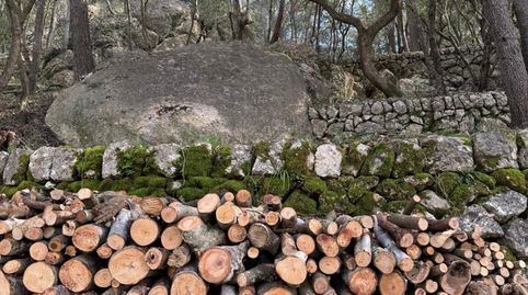 Parcela de terreno rústico situado en el munipio de Selva en plena Serra de Tramuntana., immagine 4