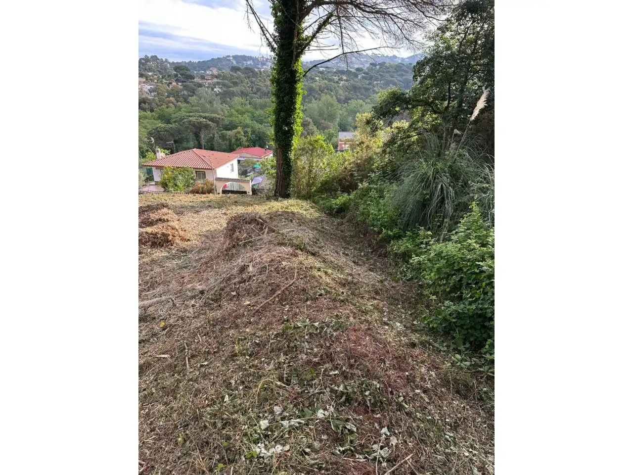 Terreno rústico en venta en Avenida Mil·lenni 22, imagen 6