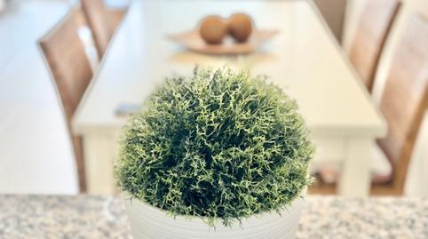 Photo 5 of House or chalet for rent in Carrer del Cigne, 9, Corinto - Almarda, Sagunto / Sagunt