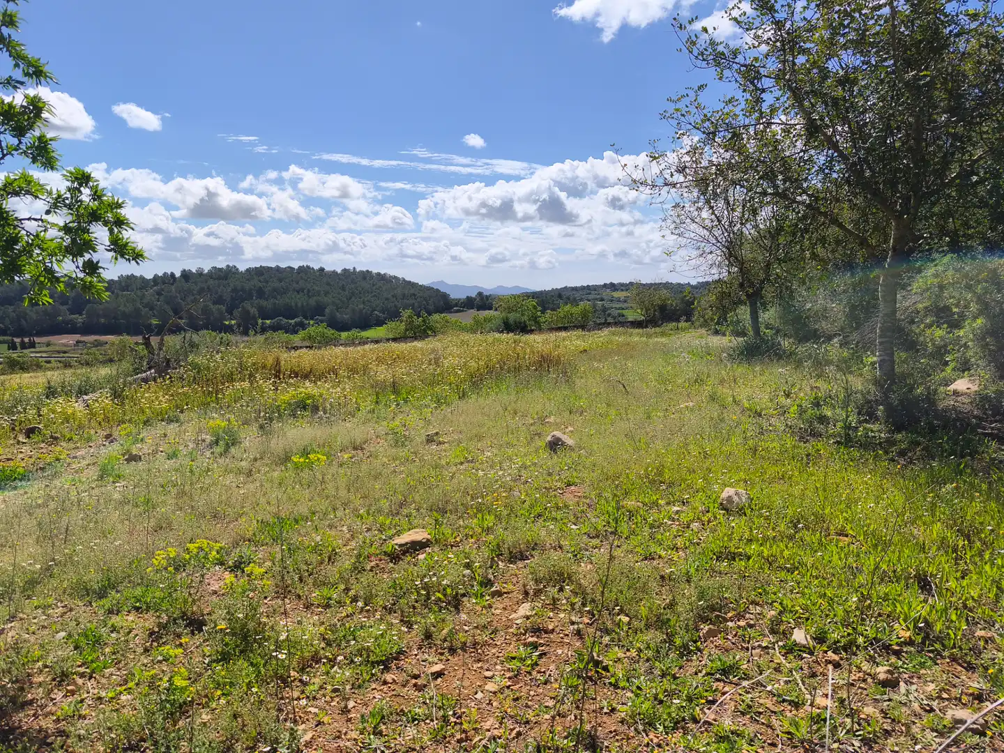 Terrain rustique à vendre à Carrer del Consistori 2, imagen 3