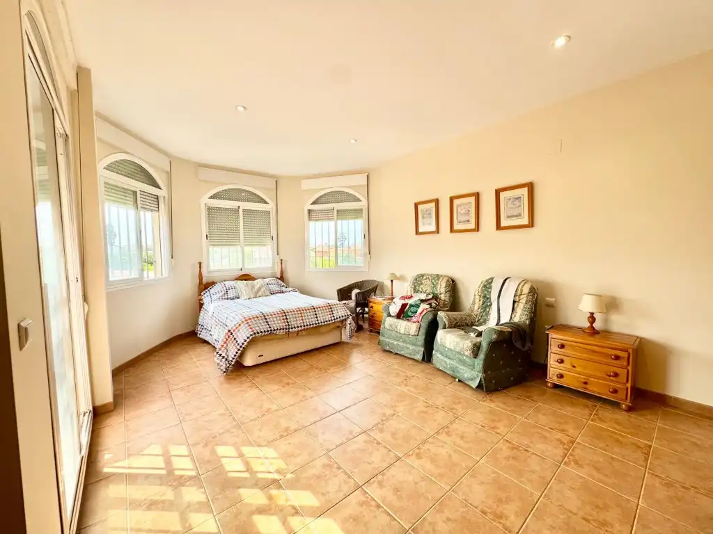 Vista exterior de Casa o chalet en venta en Córdoba con Terraza y Piscina