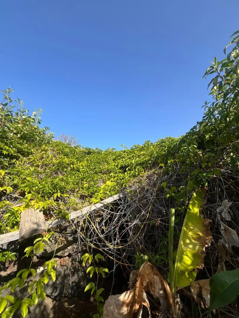 Residencial en venta en El Pinar de El Hierro