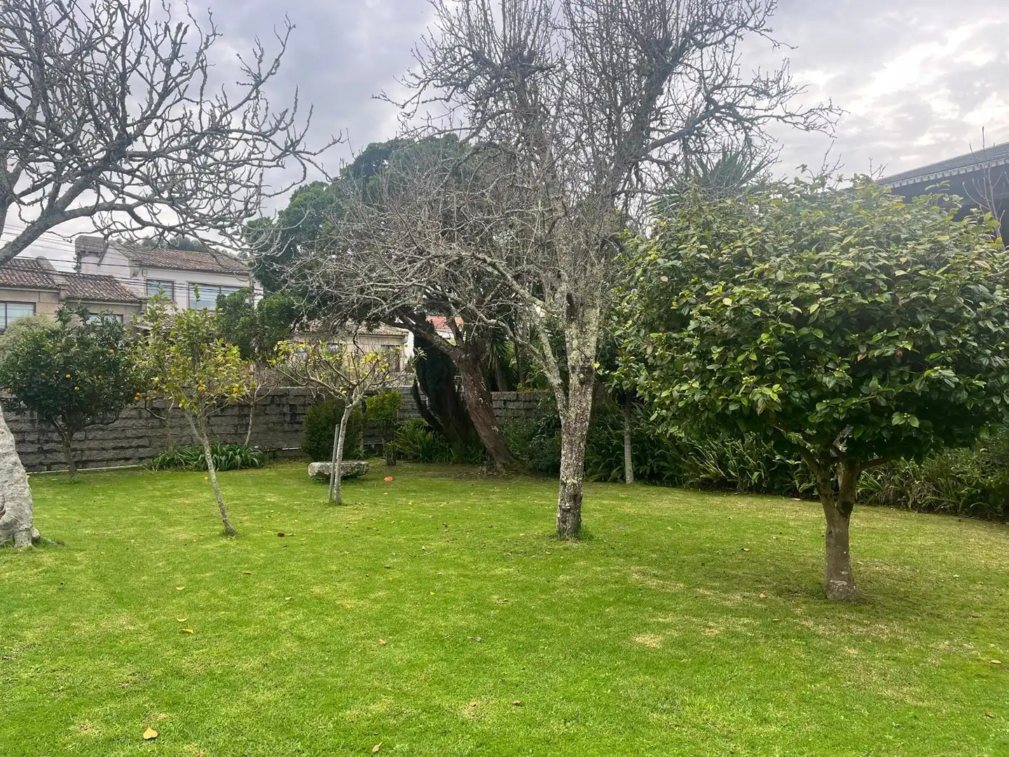 Jardí de Casa o xalet en venda en Vigo  amb Jardí privat, Terrassa i Traster