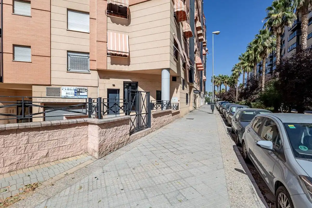 Ground floor with pool for sale in Calle PDTA RAFAEL GAGO PALOMO 9, imagen 27