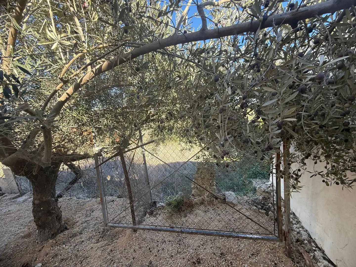 Casa o xalet en venda en Cehegín amb Aire condicionat, Jardí privat i Terrassa