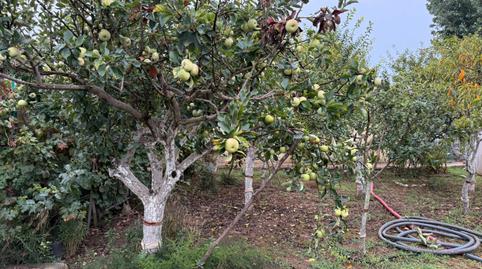 Photo 5 of Land for sale in Vial Camino, 16, La Plana del Pintor, Barcelona