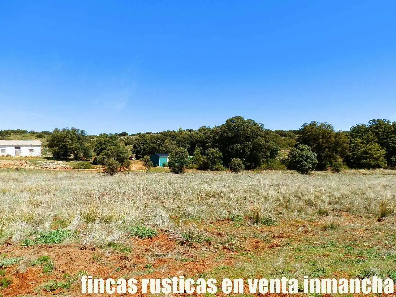 Lands and plots for sale in Ossa de Montiel, imagen 4