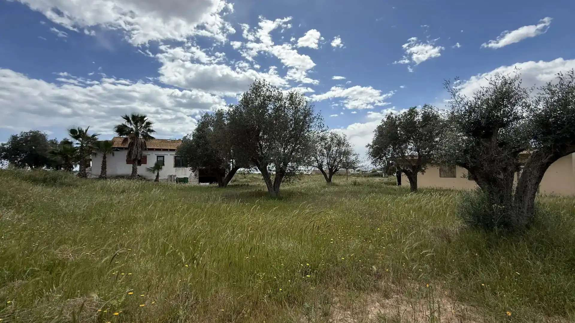 Haus zum Verkauf in Partida Cruz, imagen 9