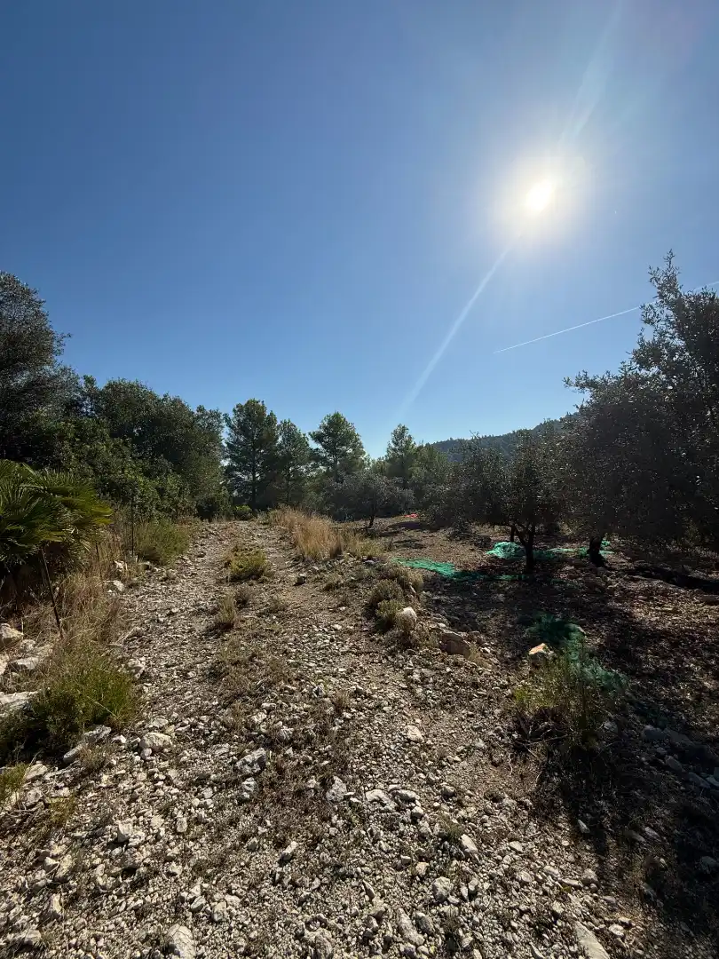 Terreny rústic en venda a La Vall de Laguar, imagen 16