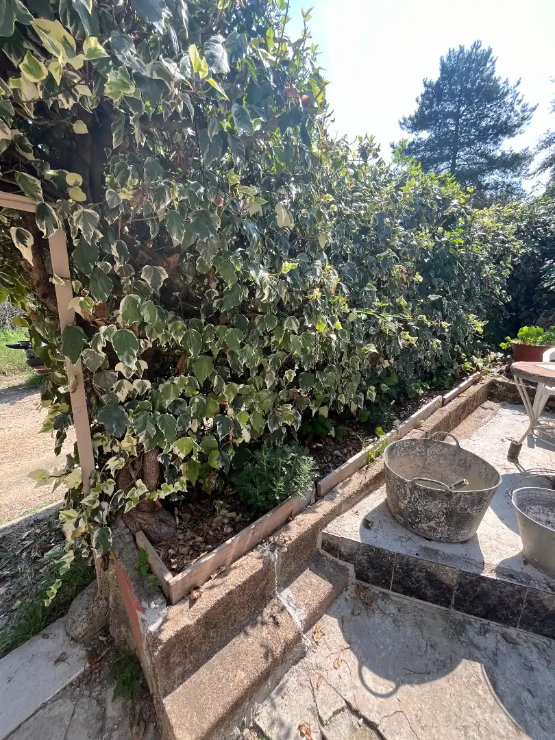 Jardín de Terreno en venta en Sant Martí de Llémena