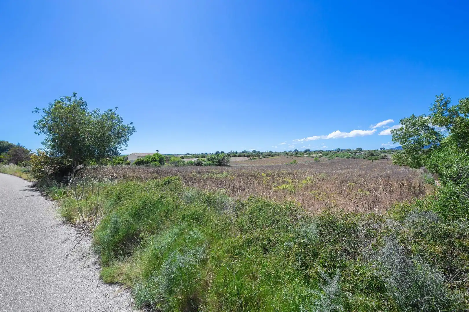 Terreno rustico in vendita a Poligono, imagen 7