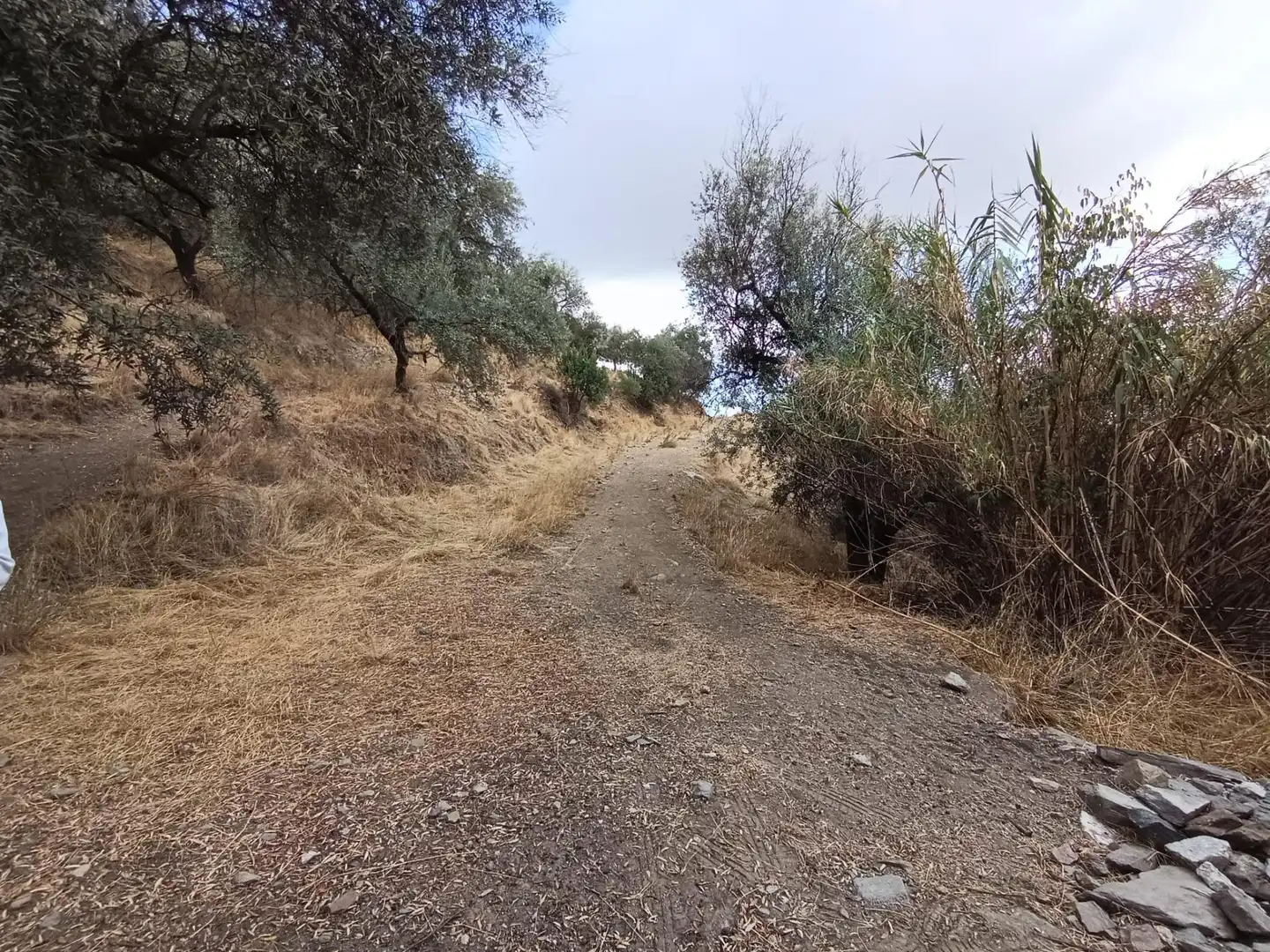 Terreni e lotti in vendita a Sedella, imagen 26