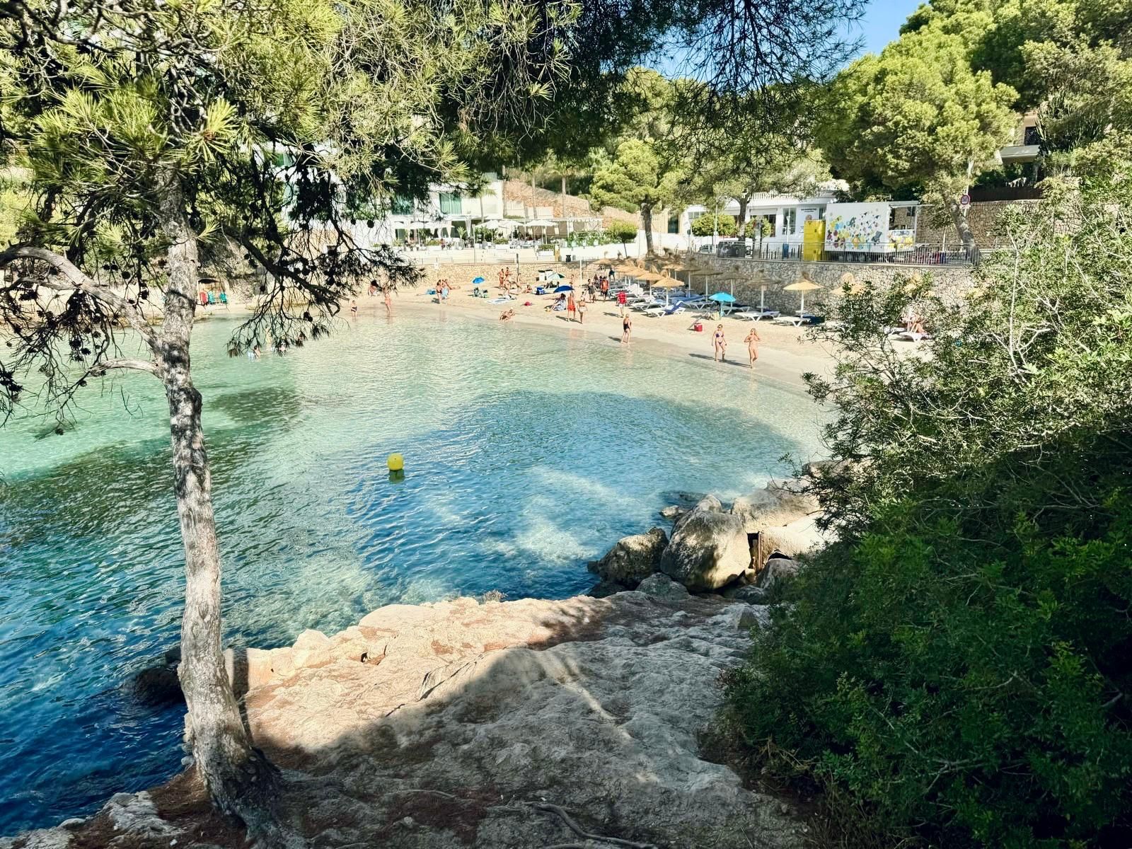 Piscina de Apartament de lloguer en Calvià amb Aire condicionat
