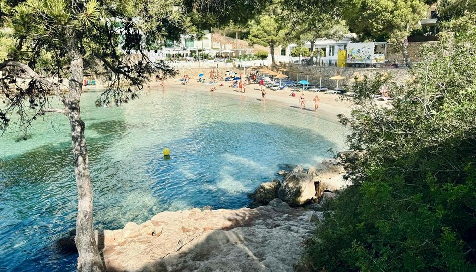 Photo 1 of Apartment to rent in Portals Nous, Illes Balears