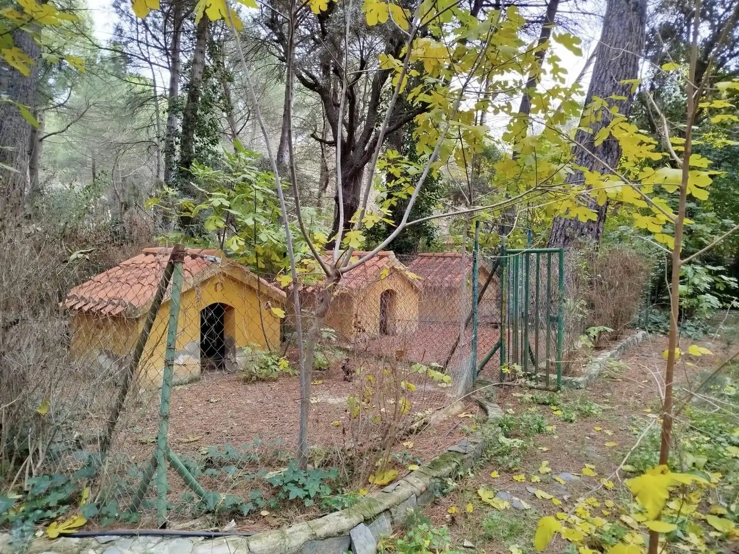 Chalet con piscina en venta en Pedanías - Extrarradio, imagen 10