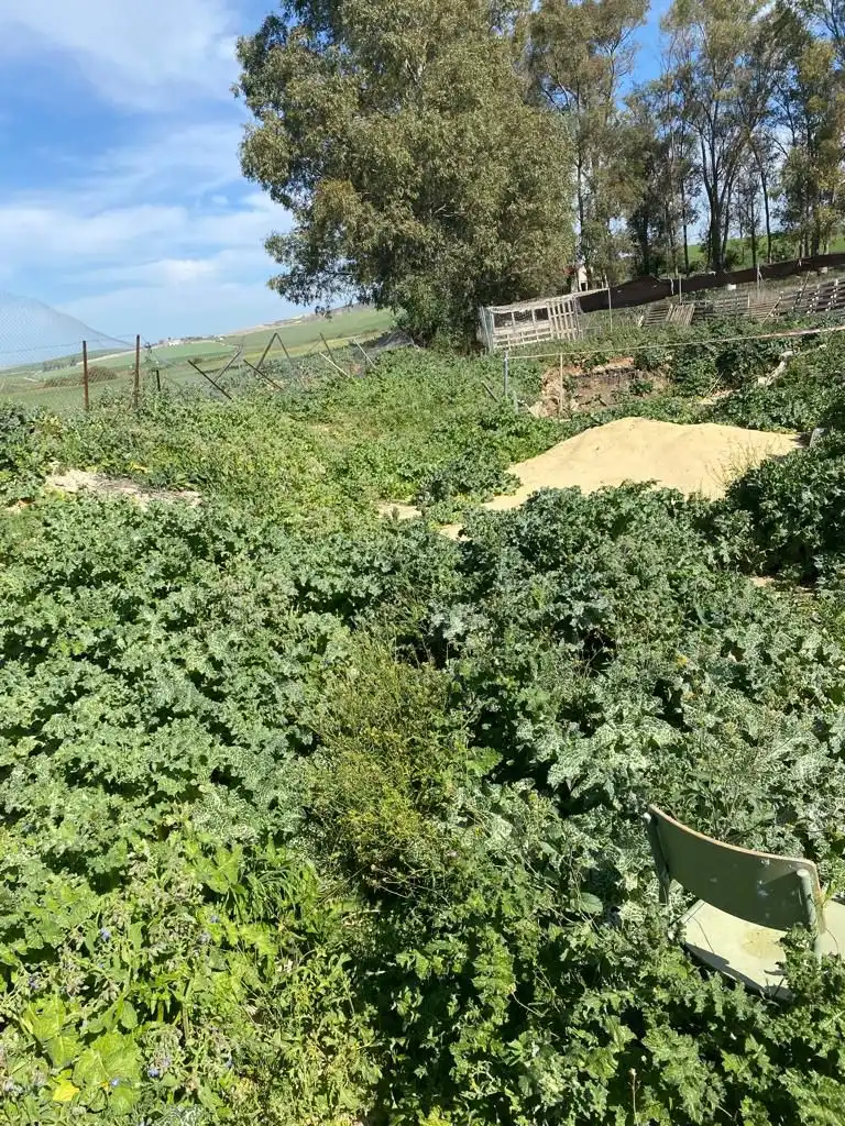 Residencial en venta en Arcos de la Frontera