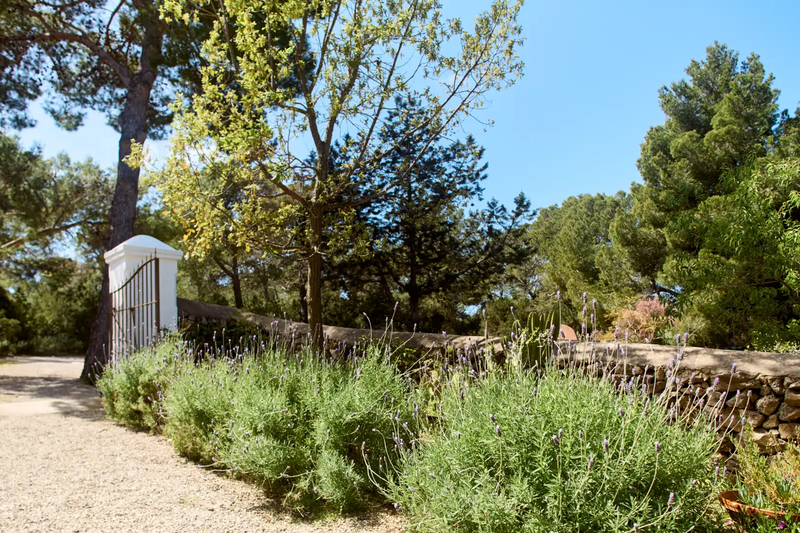 Jardí de Finca rústica en venda en Sant Joan de Labritja amb Aire condicionat, Jardí privat i Parquet
